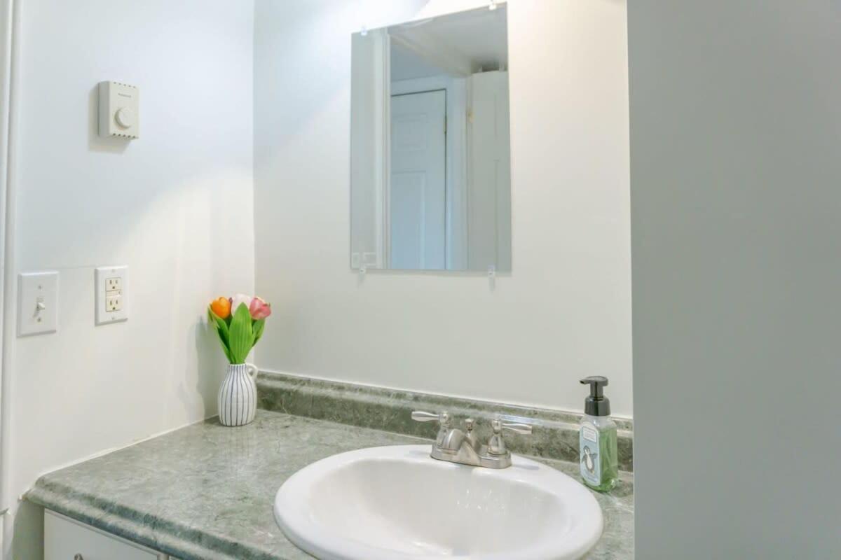Amazing Location In Saint John 2 Bedroom Modern Parking New Exteriér fotografie